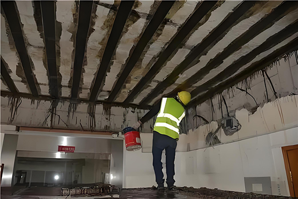 1732010847524488.jpg c038c53e-8f7e-47d7-9e54-d34241559de4 拷貝.jpg